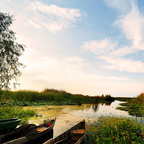 Aventura in Dobrogea